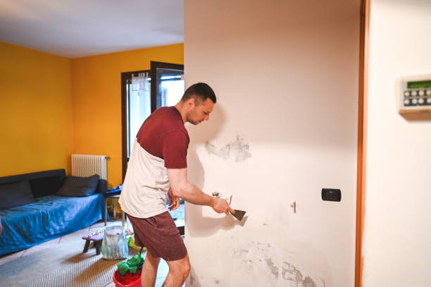 Best Post-Remediation Services in Hector, MN